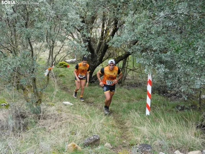 VII Subida al Palillo 