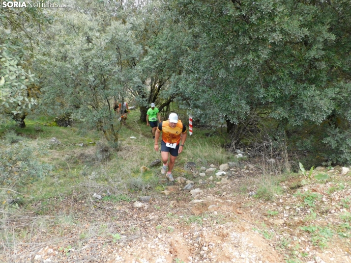 VII Subida al Palillo 