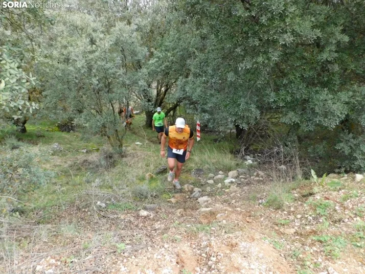 VII Subida al Palillo 