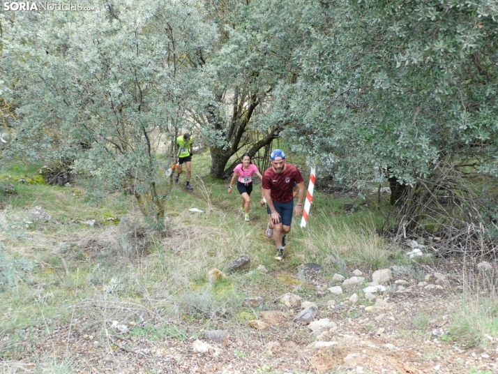 VII Subida al Palillo 