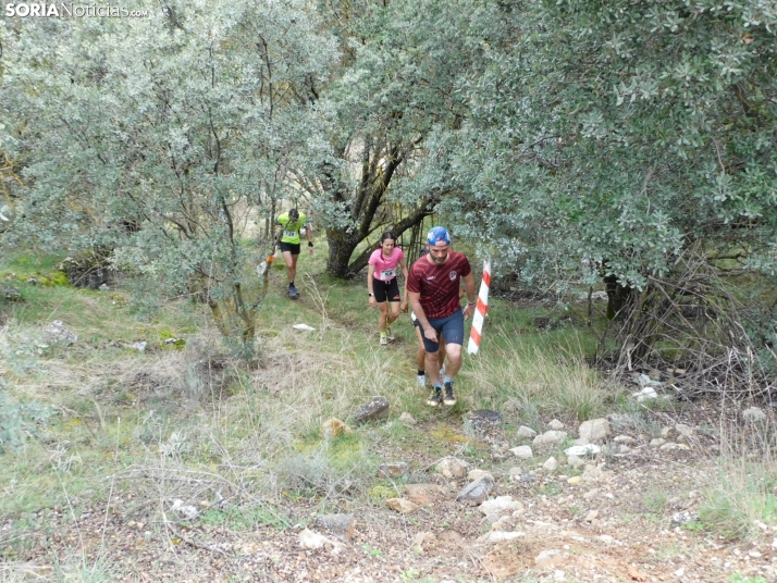 VII Subida al Palillo 