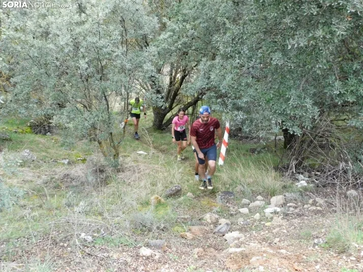VII Subida al Palillo 