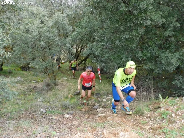 VII Subida al Palillo 