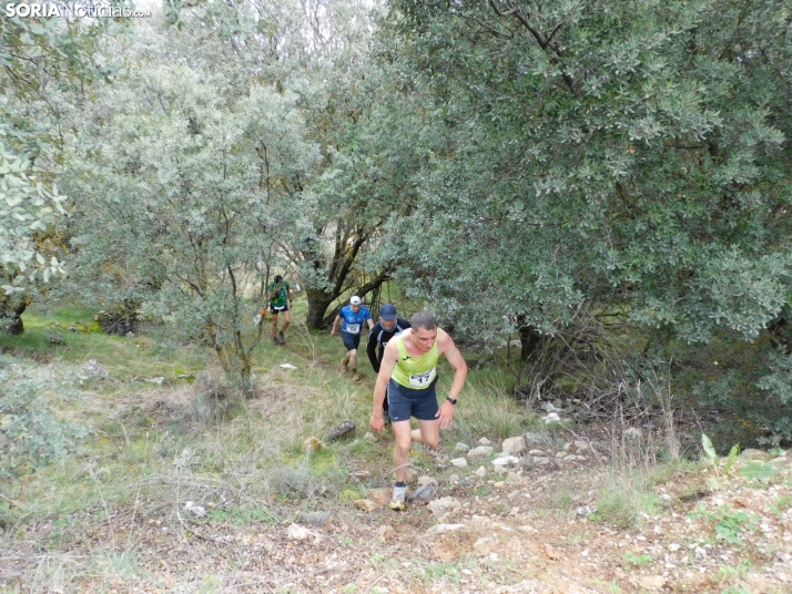 VII Subida al Palillo 