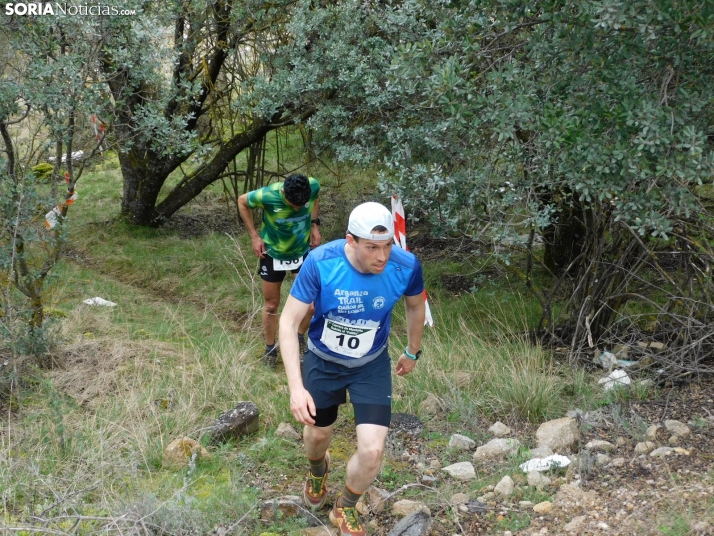 VII Subida al Palillo 