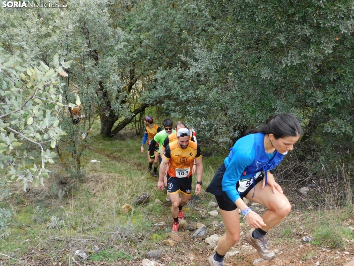 VII Subida al Palillo 