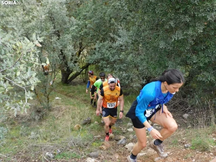 VII Subida al Palillo 