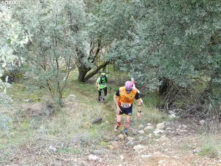 VII Subida al Palillo 
