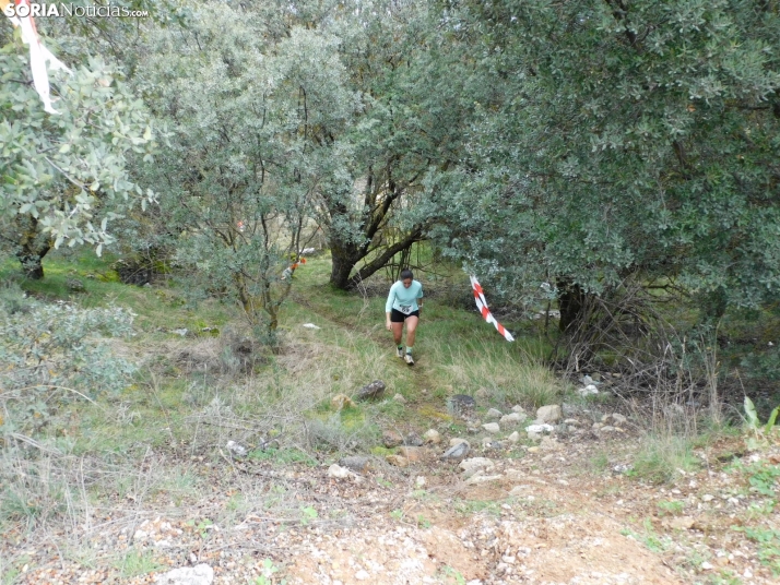 VII Subida al Palillo 