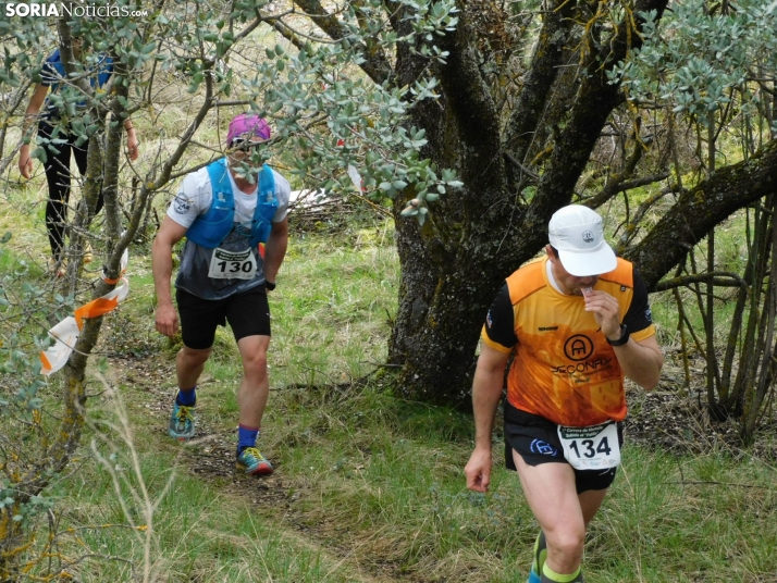 VII Subida al Palillo 