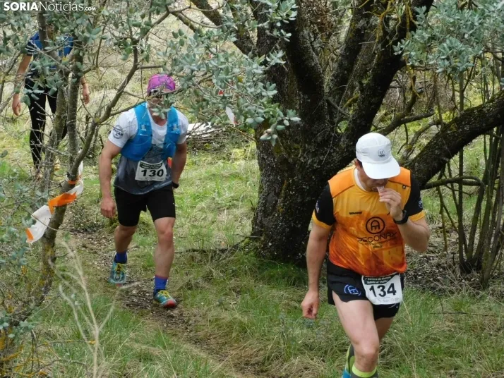 VII Subida al Palillo 