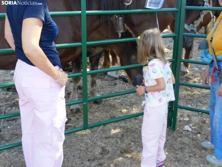 Feria Ganadera de Vinuesa.