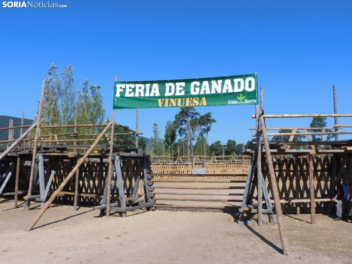 Feria Ganadera de Vinuesa.
