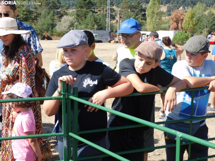Feria Ganadera de Vinuesa.