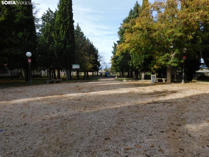 Fotos: Los colores oto&ntilde;ales invaden los m&aacute;rgenes del Duero y el Castillo