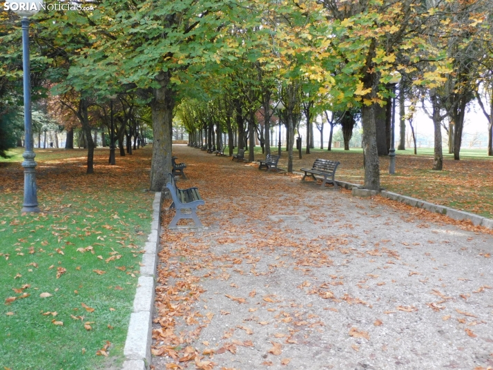 Fotos: Los colores oto&ntilde;ales invaden los m&aacute;rgenes del Duero y el Castillo