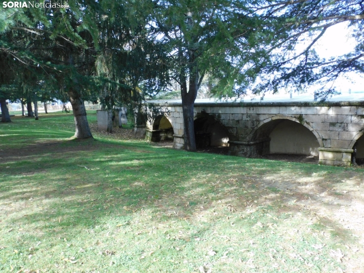 Fotos: Los colores oto&ntilde;ales invaden los m&aacute;rgenes del Duero y el Castillo