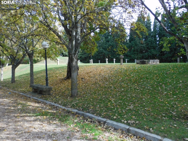 Fotos: Los colores oto&ntilde;ales invaden los m&aacute;rgenes del Duero y el Castillo