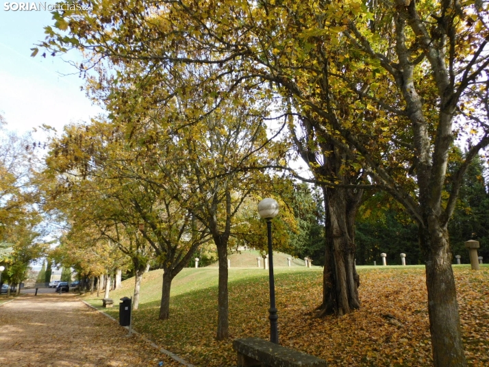 Fotos: Los colores oto&ntilde;ales invaden los m&aacute;rgenes del Duero y el Castillo