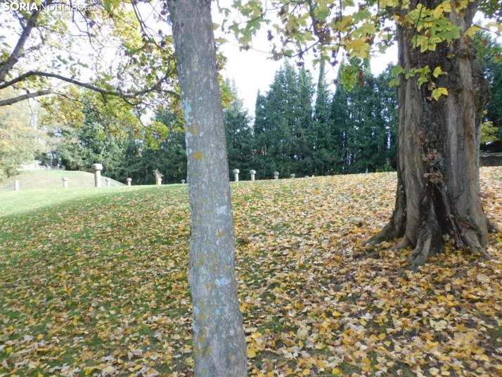Fotos: Los colores oto&ntilde;ales invaden los m&aacute;rgenes del Duero y el Castillo