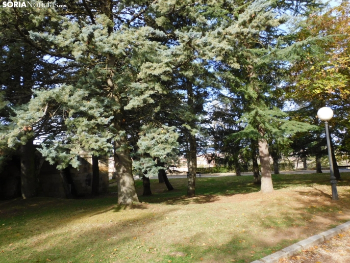 Fotos: Los colores oto&ntilde;ales invaden los m&aacute;rgenes del Duero y el Castillo