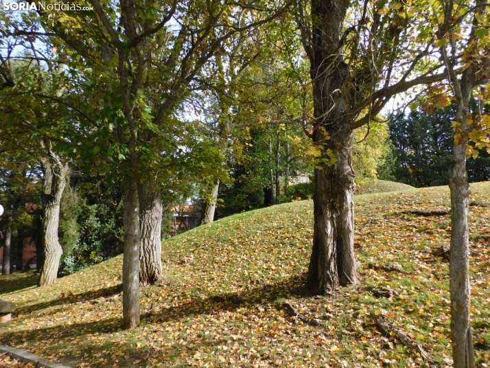 Fotos: Los colores oto&ntilde;ales invaden los m&aacute;rgenes del Duero y el Castillo