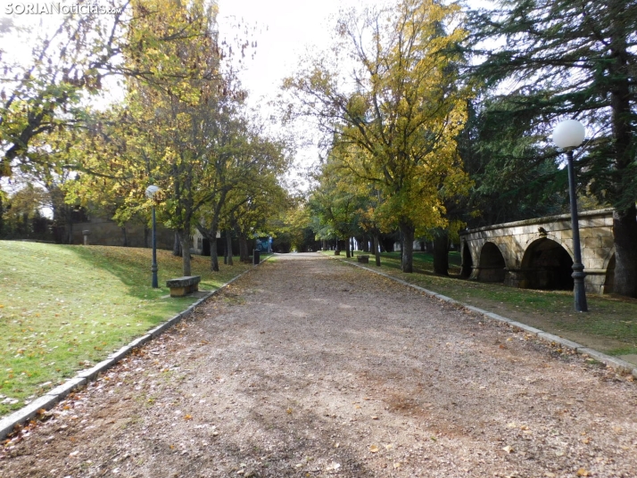 Fotos: Los colores oto&ntilde;ales invaden los m&aacute;rgenes del Duero y el Castillo