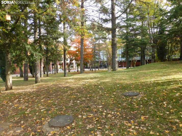 Fotos: Los colores oto&ntilde;ales invaden los m&aacute;rgenes del Duero y el Castillo
