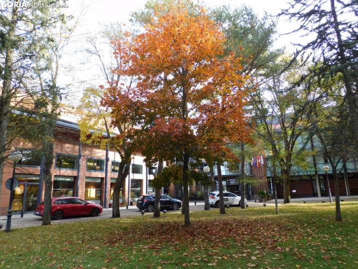 Fotos: Los colores oto&ntilde;ales invaden los m&aacute;rgenes del Duero y el Castillo