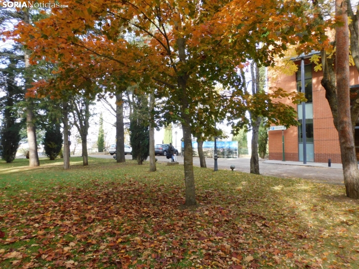 Fotos: Los colores oto&ntilde;ales invaden los m&aacute;rgenes del Duero y el Castillo