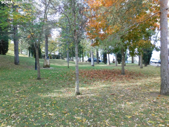 Fotos: Los colores oto&ntilde;ales invaden los m&aacute;rgenes del Duero y el Castillo