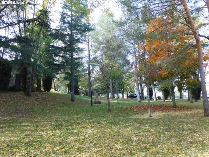 Fotos: Los colores oto&ntilde;ales invaden los m&aacute;rgenes del Duero y el Castillo