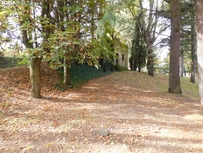 Fotos: Los colores oto&ntilde;ales invaden los m&aacute;rgenes del Duero y el Castillo