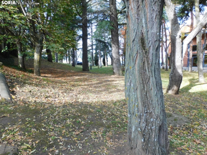 Fotos: Los colores oto&ntilde;ales invaden los m&aacute;rgenes del Duero y el Castillo