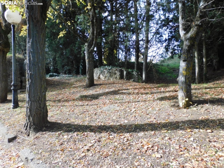 Fotos: Los colores oto&ntilde;ales invaden los m&aacute;rgenes del Duero y el Castillo