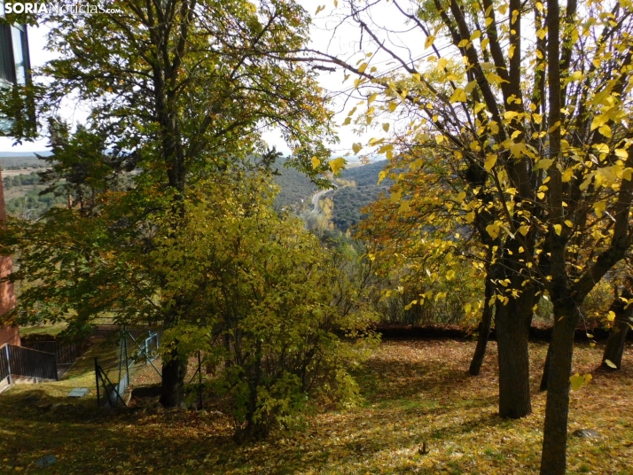 Fotos: Los colores oto&ntilde;ales invaden los m&aacute;rgenes del Duero y el Castillo