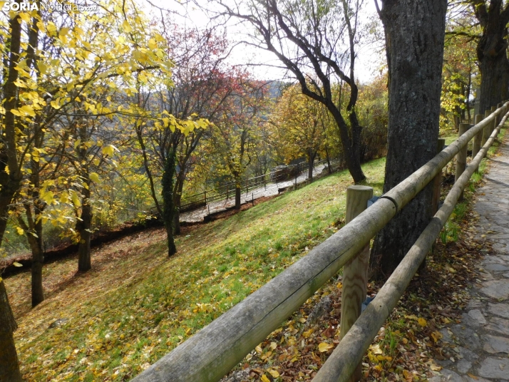 Fotos: Los colores oto&ntilde;ales invaden los m&aacute;rgenes del Duero y el Castillo