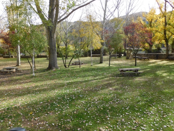 Fotos: Los colores oto&ntilde;ales invaden los m&aacute;rgenes del Duero y el Castillo