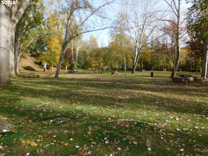Fotos: Los colores oto&ntilde;ales invaden los m&aacute;rgenes del Duero y el Castillo