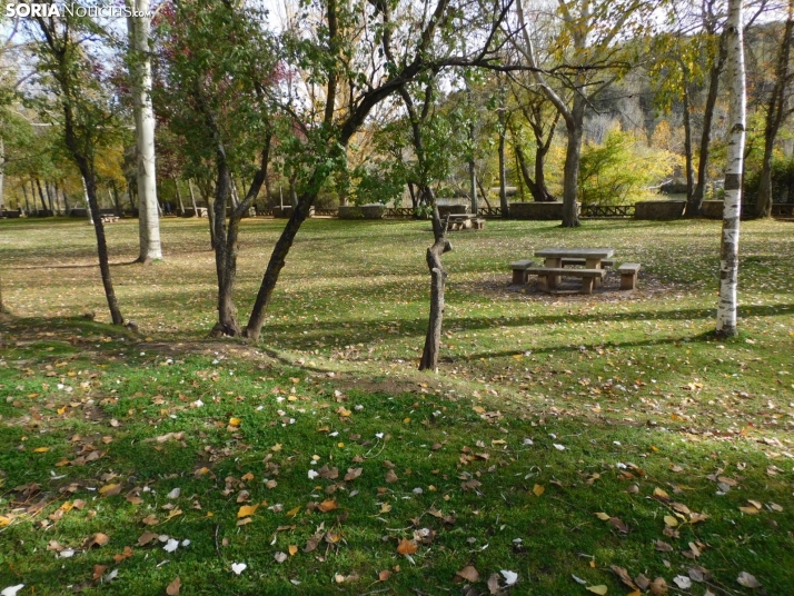 Fotos: Los colores oto&ntilde;ales invaden los m&aacute;rgenes del Duero y el Castillo