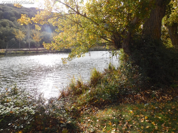 Fotos: Los colores oto&ntilde;ales invaden los m&aacute;rgenes del Duero y el Castillo