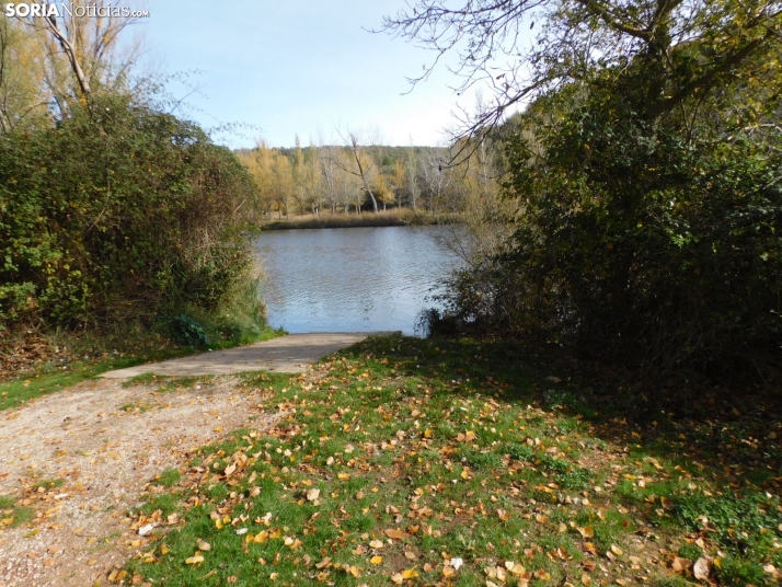 Fotos: Los colores oto&ntilde;ales invaden los m&aacute;rgenes del Duero y el Castillo
