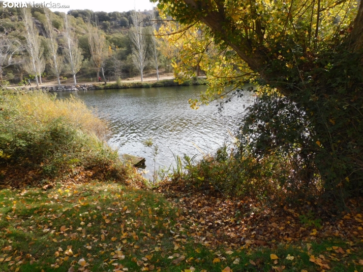 Fotos: Los colores oto&ntilde;ales invaden los m&aacute;rgenes del Duero y el Castillo