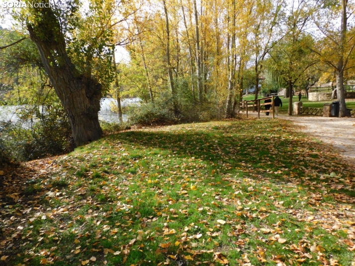 Fotos: Los colores oto&ntilde;ales invaden los m&aacute;rgenes del Duero y el Castillo