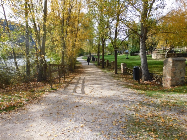 Fotos: Los colores oto&ntilde;ales invaden los m&aacute;rgenes del Duero y el Castillo