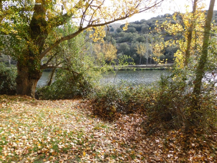 Fotos: Los colores oto&ntilde;ales invaden los m&aacute;rgenes del Duero y el Castillo