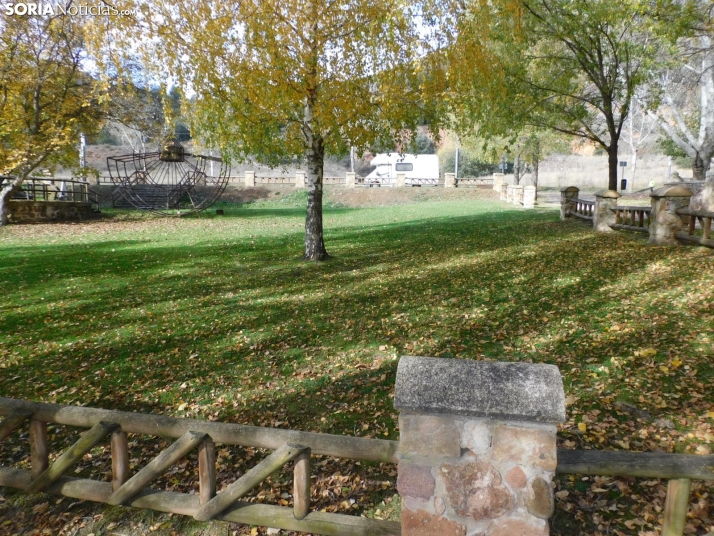 Fotos: Los colores oto&ntilde;ales invaden los m&aacute;rgenes del Duero y el Castillo