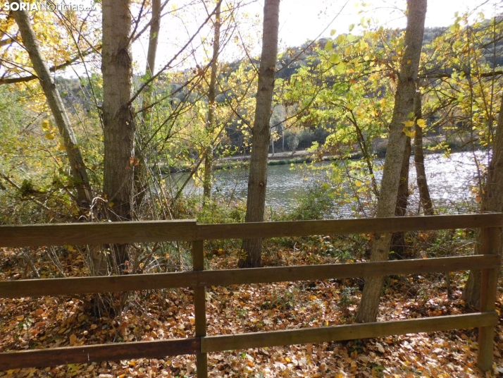Fotos: Los colores oto&ntilde;ales invaden los m&aacute;rgenes del Duero y el Castillo