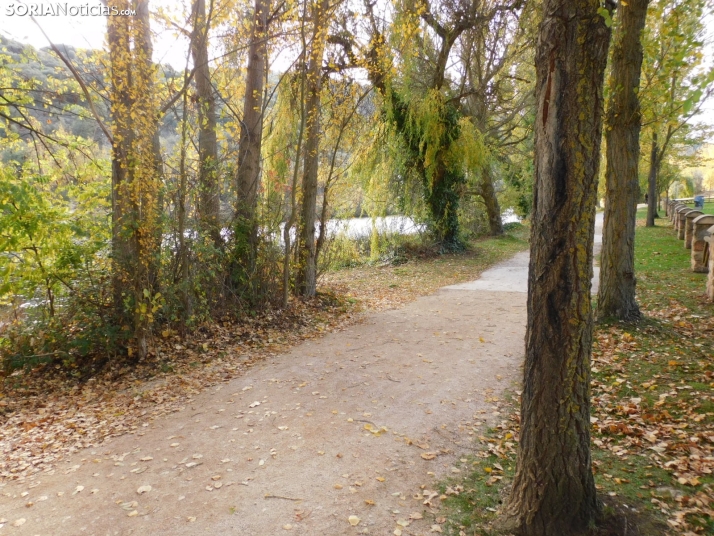 Fotos: Los colores oto&ntilde;ales invaden los m&aacute;rgenes del Duero y el Castillo