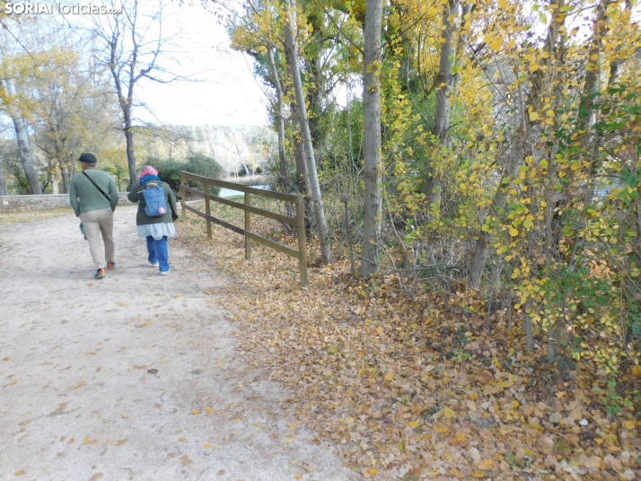 Fotos: Los colores oto&ntilde;ales invaden los m&aacute;rgenes del Duero y el Castillo